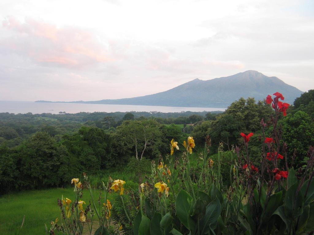 El Mirador Ecologico, Ometepe Ξενοδοχείο Altagracia Εξωτερικό φωτογραφία